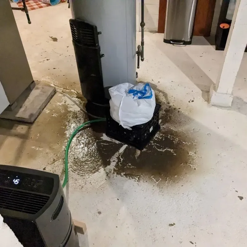 Sewage Backup Cleanup Service in Atglen, PA